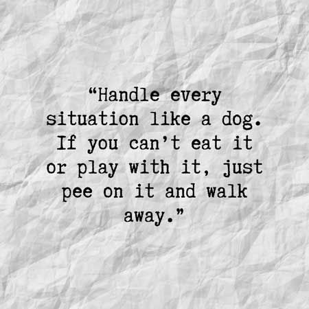 Dog Funny Quotes, Quotes About Me, Best Dog Quotes, Dog Quote, Me And My Dog, Dog Quotes Funny, Quote Pins, Dog Funny, Funny Thoughts