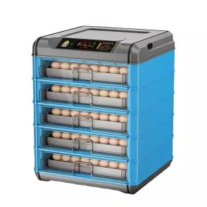 Chicken Incubator Automatic Shipping Free-Chicken Incubator Automatic Shipping Free Manufacturers, Suppliers and Exporters on Alibaba.comEgg Incubators Egg Hatching Machine, Grazing Cow, Chicken Incubator, Egg Incubator, Egg Tray, Chicken Eggs, A Chicken, Egg, Tray