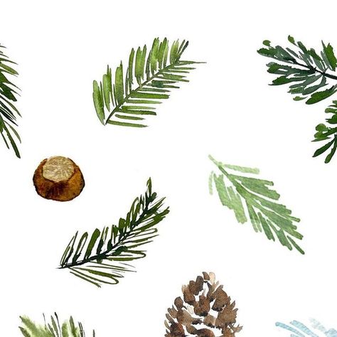 Sweet Seasons Art on Instagram: "A little watercolor pine study… such a fun and easy thing to paint! Give it a try!! 😘 … … #watercolor #watercolorart #watercolorpine #pine #pinetrees #pinestudy #pinecone #pinecones #winter #woodland #cozy #snowy #whimsical #christmas #greens #freshgreens #greenery #sweetseasonsart #chestnut #woodsymphony" Pine Cone Watercolor, Thing To Paint, Pine Watercolor, Idea Generation, Christmas Greens, Snow Illustration, Pine Leaf, Winter Greenery, Pine Garland