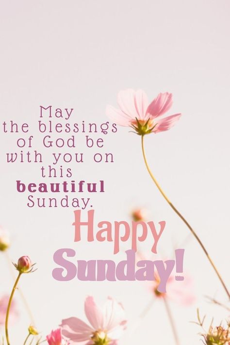 Happy Sunday And New Week, Sunday Wishes Inspiration, Sunday Blessings Inspiration Faith, Sunday Greetings Good Morning, Sunday Blessings Inspiration Scriptures, Happy Sunday Greetings, Happy Sunday Wishes, Good Morning Sunday Wishes, Sunday Blessings Inspiration