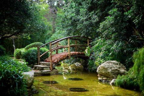 3. Perhaps one of the most peaceful places in Austin, right next door to Zilker Park - Zilker Botanical Gardens. Mt Bonnell Austin, Austin Texas Photography, Austin Trip, Austin Travel, Texas Adventure, Zilker Park, Texas Places, Garden Hacks, Empire Romain