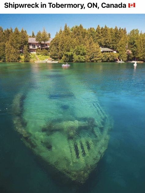 Tobermory Ontario, Underwater Shipwreck, Nature Reclaiming, Ontario Photography, Underwater Ruins, Travel To Greece, Image Nature, Bushcraft Camping, Abandoned Things