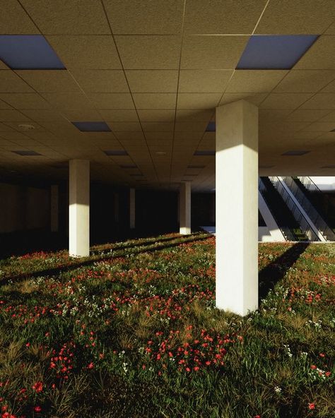 Liminal Garden, Jared Pike, Dreamscape Architecture, Dream Core, Dreamcore Aesthetic, Weirdcore Aesthetic, Where Am I, Nostalgic Pictures, Liminal Space