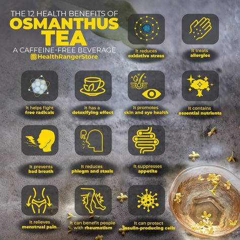 Osmanthus Tea, Liver Detox Tea, Osmanthus Flower, Matcha Tea Benefits, Caffeine Free Drinks, Matcha Benefits, Juicing Benefits, Moon Festival, Herbal Healing