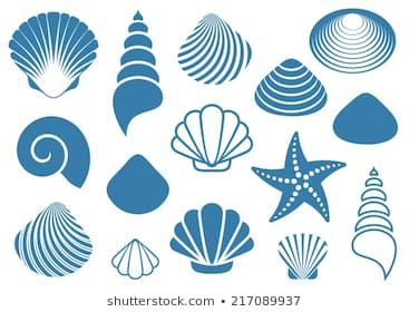 Seashell Clipart, Seashell Illustration, Silhouette Images, 자수 디자인, Stock Art, Shell Art, Stained Glass Patterns, Starfish, Royalty Free Images