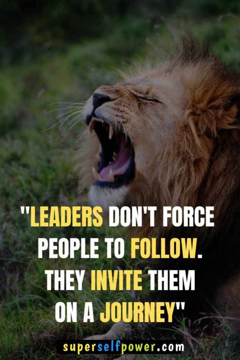 Leaders never ask people to follow them, but their journey is such that people follow them. #superselfpower #leadersquote #attitudequotes #motivationalquotes #leaderquote Attitude Quotes In English, Attitude Quote, Connection Quotes, Improvement Quotes, Leader Quotes, Self Improvement Quotes, Mental Attitude, Lion Images, Good Attitude Quotes