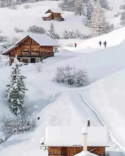 Winter Szenen, Winter Cabin, Winter Photos, Winter Love, Winter Scenery, Winter Magic, Winter Beauty, Snow Scenes, Winter Pictures