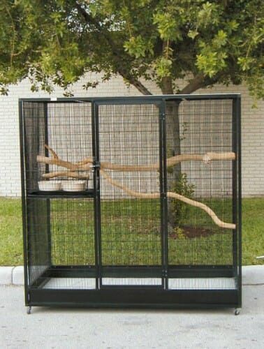 Vintage bird cage