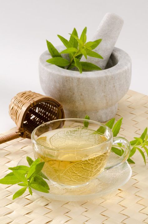 Verbena Tea Information: Learn About Growing Lemon Verbena For Tea Lemon Verbena Tea, Detox Lemonade, Cucumber Lemon Water, Tea For Colds, How To Grow Lemon, Lemon Health Benefits, Lemon Detox, Healing Tea, Making Tea