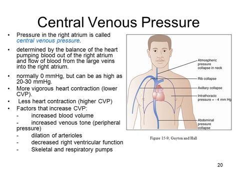 Heart Pumping Blood, Jugular Venous Pressure, Central Venous Pressure, Mean Arterial Pressure, Nursing Officer, Physician Assistant School, Cardiac Cycle, Osmotic Pressure, Studying Medicine