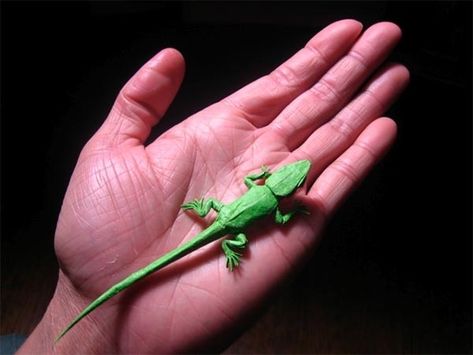 Brian Chan spent most of his childhood folding complex designs with paper. Origami appeals to him because it incorporates a lot of geometry, which is his favorite sector of mathematics. Most of his work feature bugs, and maybe a robot. Origami Lizard, Origami