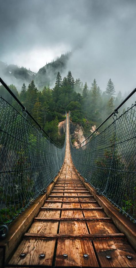 Best iPhone Wallpaper رورونوا زورو, Minimal Wallpaper, Landscape Features, Forest Wallpaper, Suspension Bridge, Cool Wallpapers Art, Beautiful Nature Wallpaper, Photography Wallpaper, Nature Images