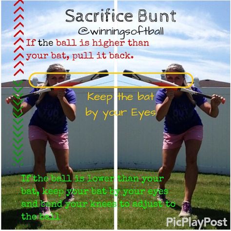 Softball Tee Drills, Catcher Drills, Softball Catcher Drills, Fastpitch Softball Drills, Youth Baseball Drills, Softball Tips, Softball Hitting, Baseball Manager, Softball Batting