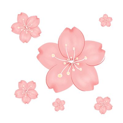 Sakura Flower Icon, Bullet Journal Icons, Spring Icons, Sakura Mochi, Kawaii Icons, Clock Icon, Flower Icons, Sakura Flower, Profile Pics