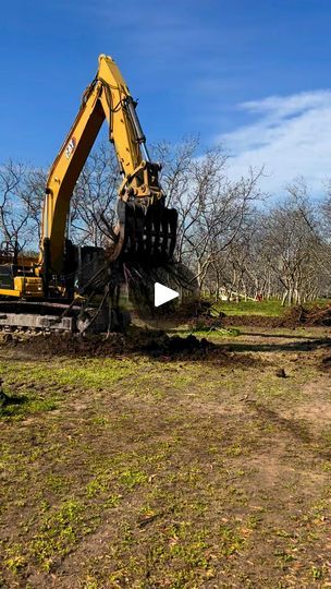 300K views · 8.4K reactions | Stump Removal Day! | Last week we showed you tree removal. . . today is stump removal! Join our Harvest Club today at www.juliasfruitstand.com | By Julia's Fruit Stand | Guys. Here's a video of the big
excavator pulling the stumps out so we'll be ready to plant
some beaches and tomatoes. Look at this thing. Just a couple
scoops and it pulls the whole stump out and then it shakes
off all the mud. Watch this. It's pretty cool. Here we go
and Nope. One more time. There it is and we get the stump out
and we're in shaky shaky. One, two, three, shaky, shaky,
shaky. So awesome. Stack em up in the
middle of the race when you push em out. Stump Out, Stump Removal, Fruit Stand, Tree Removal, Fruit Stands, One Two Three, Shake It Off, The Race, Tomatoes