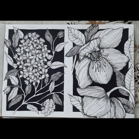 Black Ink Flower Drawing, Tattoo Idea Drawings Sketches, Black Pen Flower Drawings, Black Ink Pen Drawings, Flowers Ink Drawing, Floral Ink Drawing, Botanical Ink Drawing, Black Paper White Pen Drawing, Black Pen Drawing Artworks