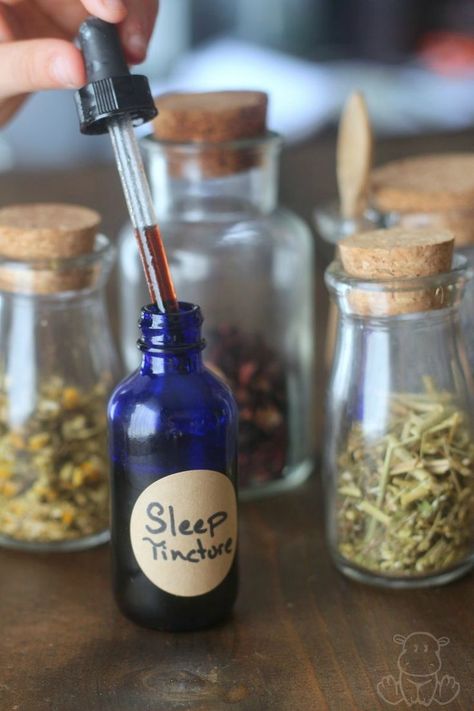 Sleep Tincture Recipe - Uses calming herbs that are generally considered beneficial for adults and children, which I love because it can be used by our whole family. Sleep Tincture, Calming Herbs, Cooking With Turmeric, Tinctures Recipes, Herbal Tinctures, Natural Healing Remedies, Diy Remedies, Natural Therapy, Healing Herbs