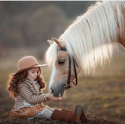 Mare Horse, Farm Photo, Most Beautiful Horses, Girls Dp Stylish, Equine Photography, Mystical Creatures, Horse Photos, Beautiful Posters, Horse Photography