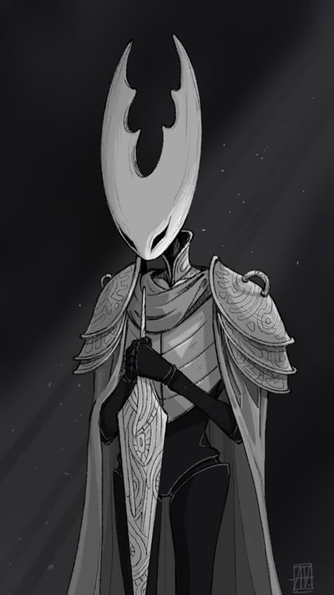 Hk Widget, Hollow Knight Cosplay, Pure Vessel, Knight Drawing, The Hollow Knight, Hollow Knight Art, Hollow Night, Adventure Time Cartoon, Hollow Art