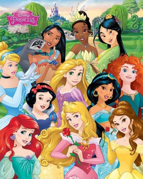 I Am A Princess, Princes Disney, Disney Mignon, Disney Character Drawings, Official Disney Princesses, Walt Disney Characters, Disney Princess Characters, Sette Nani, New Disney Princesses