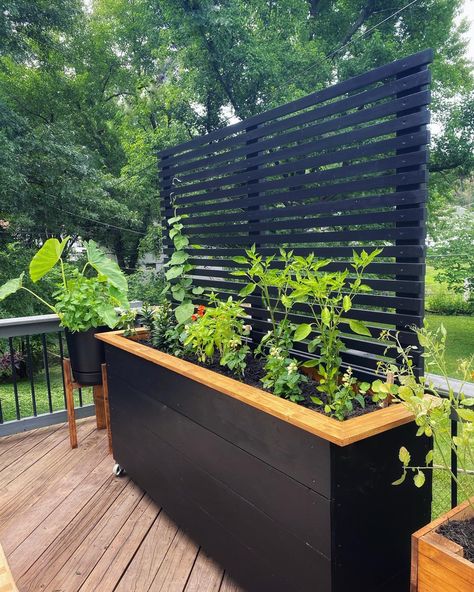 Privacy Planter, 2x4 Projects, Kursi Bar, Backyard Privacy, Plants Growing, Outdoor Planter, Landscape Designs, Small Backyard Patio, Small Backyard Pools