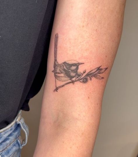 Superb Fairy Wren Tattoo, Blue Fairy Wren, Fairy Wren Tattoo, Blue Wren Tattoo, Wren Tattoos, Fine Line Fairy Tattoo, Wren Tattoo, Blue Wren, Fairy Wren