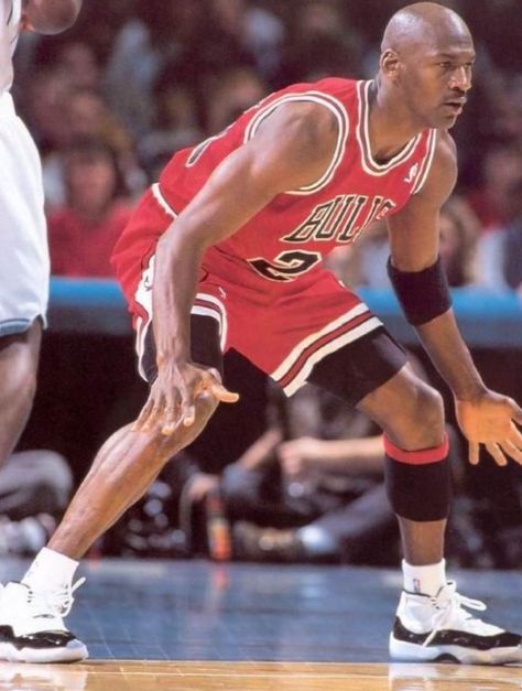 (4) Lets Talk Hoops 🏀 (@LetsHoops) / Twitter Michael Jordan High Quality, Vintage Michael Jordan Photos, Michael Jordan Dunking, Mike Jordan, Michael Jordan Scottie Pippen Dennis Rodman, Jordan Quotes, Michael Jordan Winning Championship, Jeffrey Jordan, Jordan Bulls