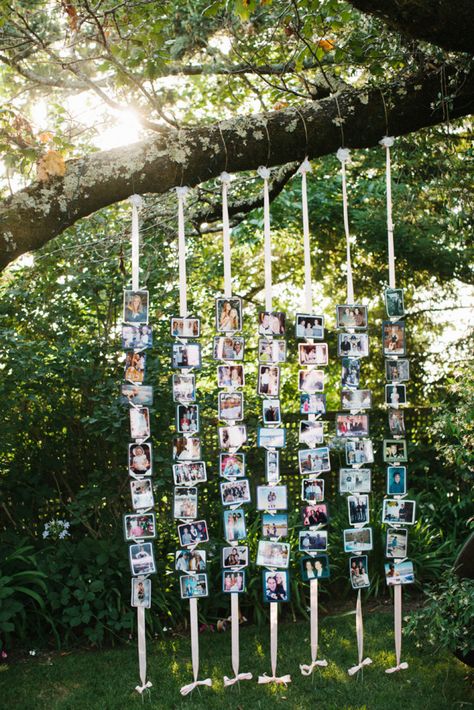 Tree With Photos Hanging, Wedding Couple Pictures Display, Wedding Photography Theme, Ideas For Wedding Party, Diy Wedding Reception, Romantic Classic, Wedding Readings, Wedding Notes, Diy Pictures