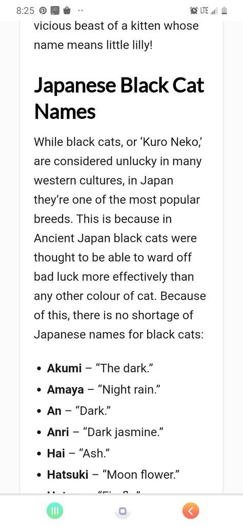 Japanese Cat Names, Girl Cat Names, Cake Cat, Silly Cars, Pirate Coloring Pages, Cute Cat Names, Getting A Kitten, Female Cat, Spooky Tattoos