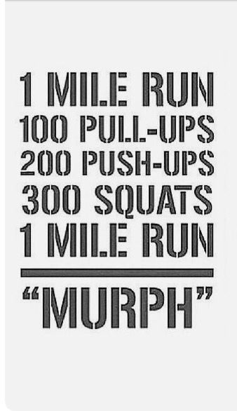 Murph workout Murph Workout, The Murph, Hero Wod, Olympic Weightlifting, Gary Vee, Thanks To Everyone, Direct Marketing, Social Media Influencer, Pull Ups