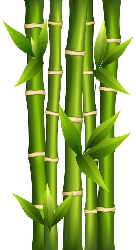 Bamboo Clipart, Bamboo Image, Bamboo Drawing, Bamboo Background, Afrique Art, Bamboo Art, Bamboo Tree, Bamboo Design, Digital Flowers