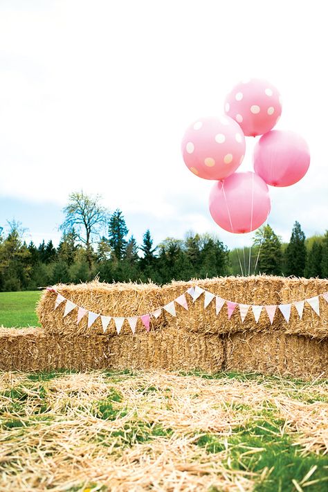 Darlin' Pink & Brown Pony Party // Hostess with the Mostess® Outdoor Photo Booths, Decor Photobooth, Pony Birthday Party, Farm Animals Birthday Party, Horse Birthday Parties, Cowgirl Birthday Party, Horse Party, Barnyard Birthday, Photos Booth