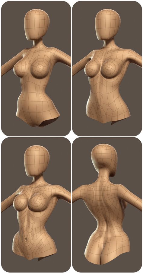 A collection of anatomy and pose references for artists. 3d Karakter, Sculptures Céramiques, 3d Modelle, Anatomy Drawing, Female Body, Anatomy Reference, Character Modeling, Blender 3d, 3d Characters