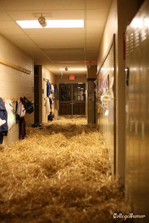 Grad Pranks, Senior Prank Ideas, Funny Senior Pictures, School Pranks, Homecoming Spirit Week, Prank Ideas, Senior Year Fun, Senior Year Ideas, Senior Pranks