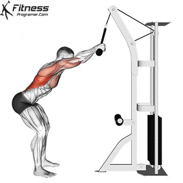 The rope straight-arm pulldown trains the lats through a long range of motion, and is helpful for people who have trouble feeling their backs work on conventional pulldown exercises. Cable movements provide constant tension throughout the entire movement. Using cables allows you to work both the concentric and eccentric portions of the exercise. More tension equals more muscle activation. Lat Pulldown Exercises For Women, Straight Arm Pulldown Back Exercises, Cable Rope Back Workout, Straight Arm Pull Down, Stiff Arm Pull Down, Straight Arm Cable Pulldown, Pull Cable Workout, Straight Arm Lat Pull Down, Cable Pullover Exercise