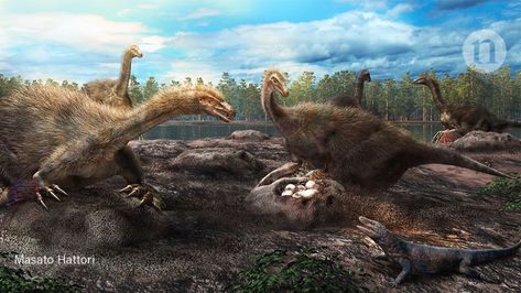 The fossils provide the first clear example of group nesting activities in dinosaurs. Dinosaur Nest, Feathered Dinosaurs, Modern Birds, Landscape Photography Tips, Prehistoric Art, Paleo Art, The Good Dinosaur, Extinct Animals, Prehistoric Animals