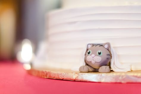 peek a boo kitty cat wedding cake Wedding Cake Cat Theme, Cat Themed Wedding Cake, Wedding Cake With Cat Peeking Out, Cats Wedding Cake, Peek A Boo Wedding Cake, Cat Incorporated In Wedding, Wedding Cakes With Cats, Ways To Incorporate Cats In Wedding, How To Incorporate Cats In A Wedding