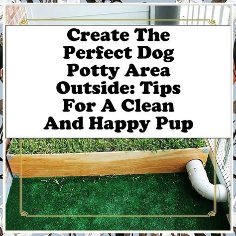 Transform your outdoor space into the ideal dog potty area outside with our expert tips! Discover how to choose the right location, materials, and design for a clean and functional spot that keeps both your pup and yard happy. Say goodbye to messy clean-ups and hello to a stress-free routine. Whether you have a small balcony or a spacious backyard, our guide will help you create the perfect potty area for your furry friend. Diy Dog Potty Area, Indoor Dog Potty Area, Dog Potty Area Outside, Outdoor Dog Potty Area, Dog Potty Diy, Dog Potty Area, Indoor Dog Potty, Spacious Backyard, Dog Potty