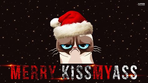 merry kiss my ass Christmas Laptop Wallpaper Aesthetic, Laptop Wallpaper Aesthetic, Funny Christmas Wallpaper, Grumpy Cat Christmas, Christmas Greetings Quotes, Christmas Wallpaper Hd, Aesthetic Funny, Wallpapers Ipad, Christmas Desktop