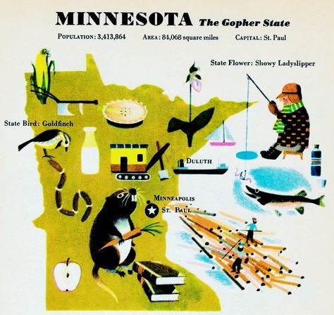 Minnesota Aesthetic, Aesthetics Moodboard, Vintage Minnesota, Before I Sleep, Miles To Go, State Birds, Duluth Mn, Scenic Drive, Field Guide