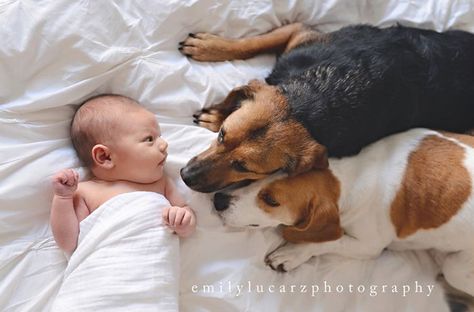 20 Super Adorable Photos of Baby and Dog Friendships! Newborn And Dog, Newborn Family Photos, Baby Kicking, Baby Sleep Problems, Lifestyle Newborn Photography, Foto Baby, Newborn Shoot, Baby Pics, Newborn Baby Photography