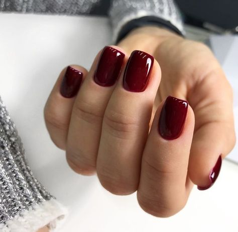 Dark Red Manicure Short, Dark Red Nails Ideas Short, Burgundy Acrylic Nails Short, Short Deep Red Nails, Dark Red Gel Nails Short, Dark Nail Colors, Dark Red Nail Polish, Winter Nail Colors, Dark Nail