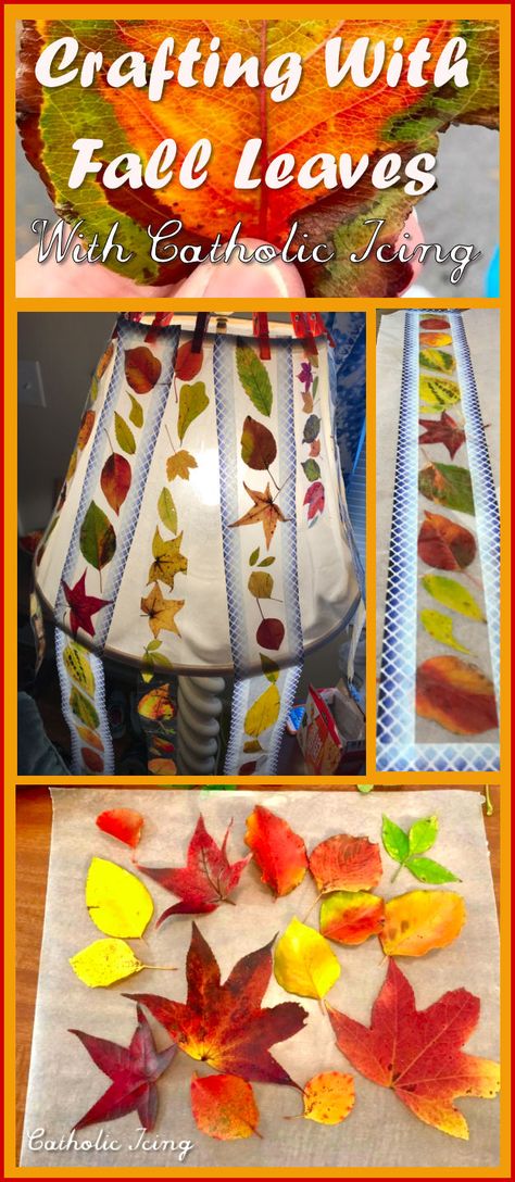 Fall leaf suncatchers with packing tape! This is awesome because wax paper doesn't have enough wax to work anymore... Leaf Suncatcher For Kids Wax Paper, Wax Paper Sun Catcher, Fall Suncatchers, Leaf Suncatchers, Wax Paper Crafts, Catholic Icing, Sun Crafts, Fall Crafting, Fun Fall Crafts