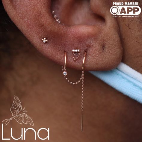 Mini Major With Chain End Threadless / Pupil Hall | Luna Piercing and Fine Jewelry Pupil Hall, Curated Ears, Locket Earrings, Vs Diamond, Piercing Tattoo, Locket Necklace, Accessories Rings, Nostril Hoop Ring, Ring Bracelet