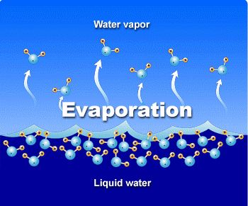 When water evaporates, it becomes water vapor. This is the process by which molecules at the surface of liquid get enough energy to transform into a gaseous state. Water is always evaporating from the surface of bodies of water like oceans and lakes. Also, from unexpected places like from soil and your skin. Plants also draw in water from the soil through their own roots. Ideas For Science Fair, Science Fair Ideas, Chemistry Projects, Best Friends Cartoon, Science Illustration, Science Chemistry, Earth Surface, Water Cycle, Friend Cartoon