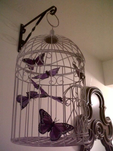 An old vintage bird cage, clear thread and a few (fake) butterflies...Instead of butterflies, I am gonna do matching birds from the bird frame... Old Bird Cage Ideas Decor, Fake Bird Cage Decor, Hanging Bird Cage Decor, Bird Cage Aesthetic, Sigma Cosplay, Bird In A Cage Aesthetic, Birdcage Aesthetic Dark, Birdcage Art, Fake Butterflies