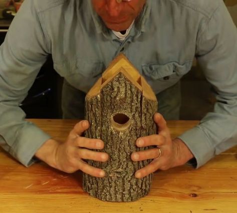 Log Bird Houses Ideas, Log Bird House, How To Make A Bird House, Unique Bird Houses Diy, Natural Birdhouse, Log Cabin Bird House, Birdhouses Diy, Birdhouse Woodworking Plans, Birdhouse Diy