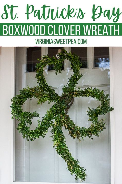 Boxwood wreaths aren't just for Christmas! Learn how to make a Boxwood clover wreath to use to decorate your front door for St. Patrick's Day. This wreath is unique and is perfect to use to decorate your home for March. via @spaula Diy St Patricks Day Wreath, Moss Wreath Diy, Clover Wreath, Wreaths St Patricks, Paper Flower Wreaths, Rainbow Wreath, Moss Wreath, Pom Pom Wreath, St Patrick's Day Decor