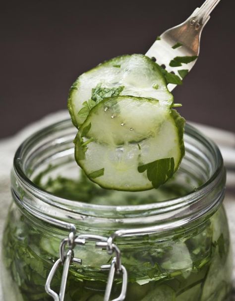 This recipe for Polish sweet-and-sour pickles delivers that lovely tart-sweet taste Eastern Europeans love. Russian Pickles Recipe, Jewish Pickle Recipe, Sweet And Sour Pickles Recipe, Polish Pickles, Russian Pickles, Authentic Polish Dill Pickle Soup, Sour Pickles, Mushroom Sauce Recipe, Homemade Pickles