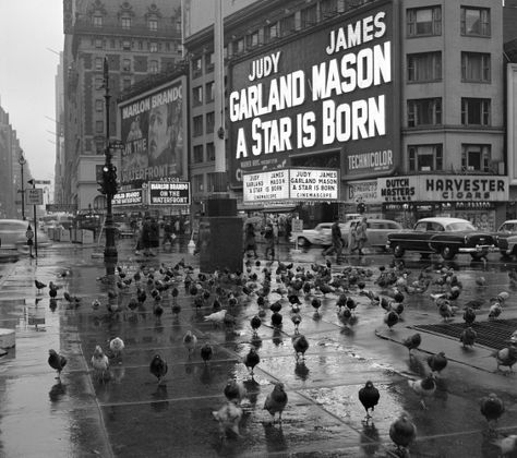 Frank Oscar Larson's New York City photos from the 1950's Kota New York, Movie Marquee, New York Vintage, Judy Garland, Vintage New York, A Star Is Born, Nova York, Photo Vintage, Street Photographers